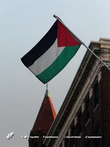 DayPal_official's tweet photo. The Palestinian flag is seen in Yonkers, New York 🇵🇸🇵🇸
#SolidarityWithPalestinianPeople https://t.co/e5YO7FfGRC