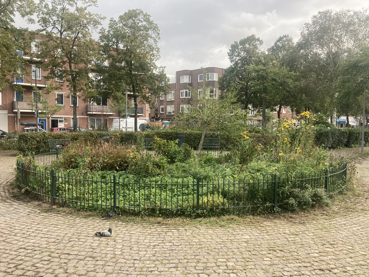 rinibiemans's tweet photo. Markeren is belangrijk voor een fraai en verzorgde uitstraling in de #BIOCROW ‘onkruid binnen de perken’ Het blijft een park waar per dag meer dan honderden mensen (volwassen en kinderen) recreëren #functionele #stedelijk #inheems #biodiversiteit #ecoplantvakken #park1943 https://t.co/8yJGkjOokQ