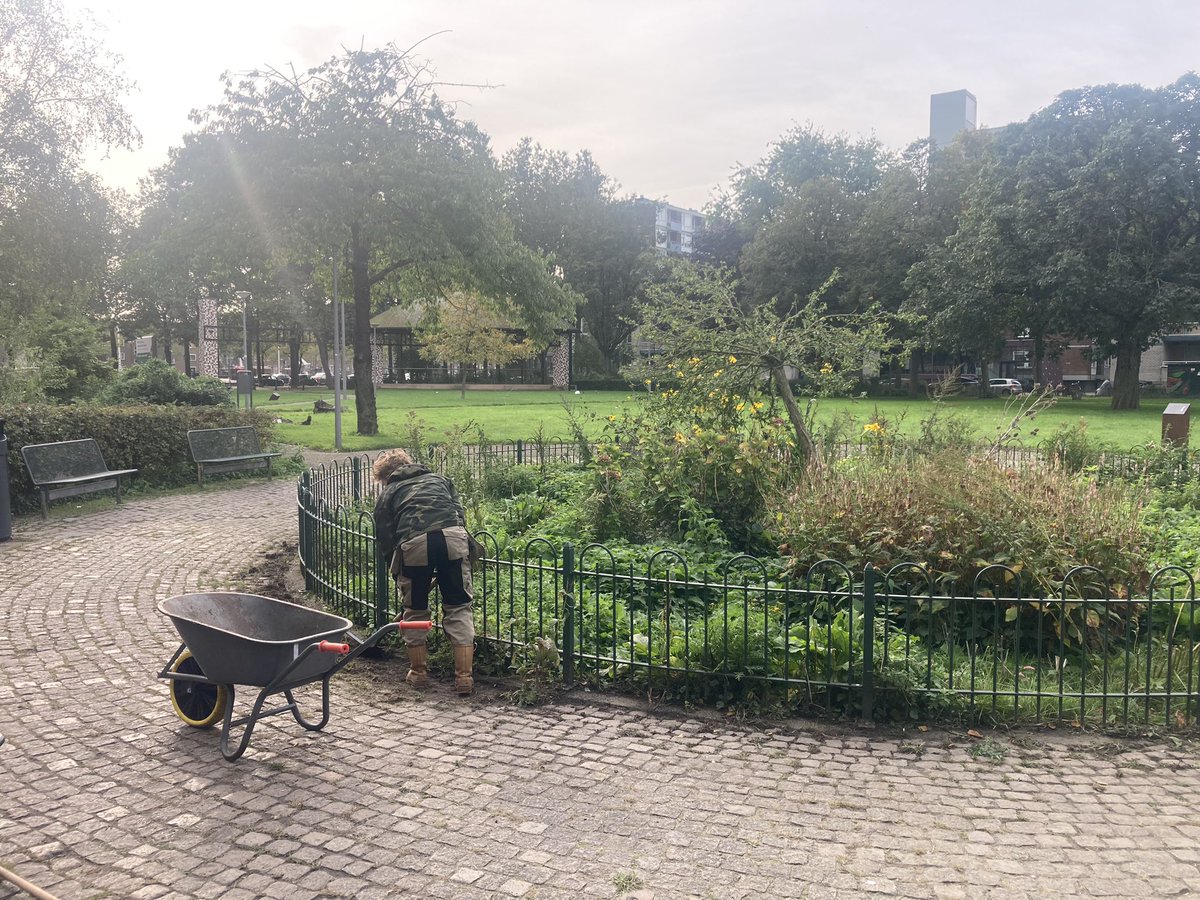 rinibiemans's tweet photo. Markeren is belangrijk voor een fraai en verzorgde uitstraling in de #BIOCROW ‘onkruid binnen de perken’ Het blijft een park waar per dag meer dan honderden mensen (volwassen en kinderen) recreëren #functionele #stedelijk #inheems #biodiversiteit #ecoplantvakken #park1943 https://t.co/8yJGkjOokQ