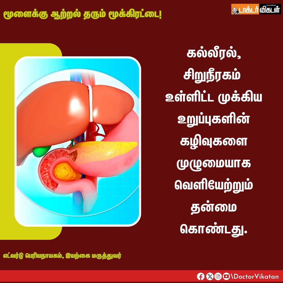 மூளைக்கு ஆற்றல் தரும் மூக்கிரட்டை!

#health #brain #healthcare #food #liver #kidney #brainenergy