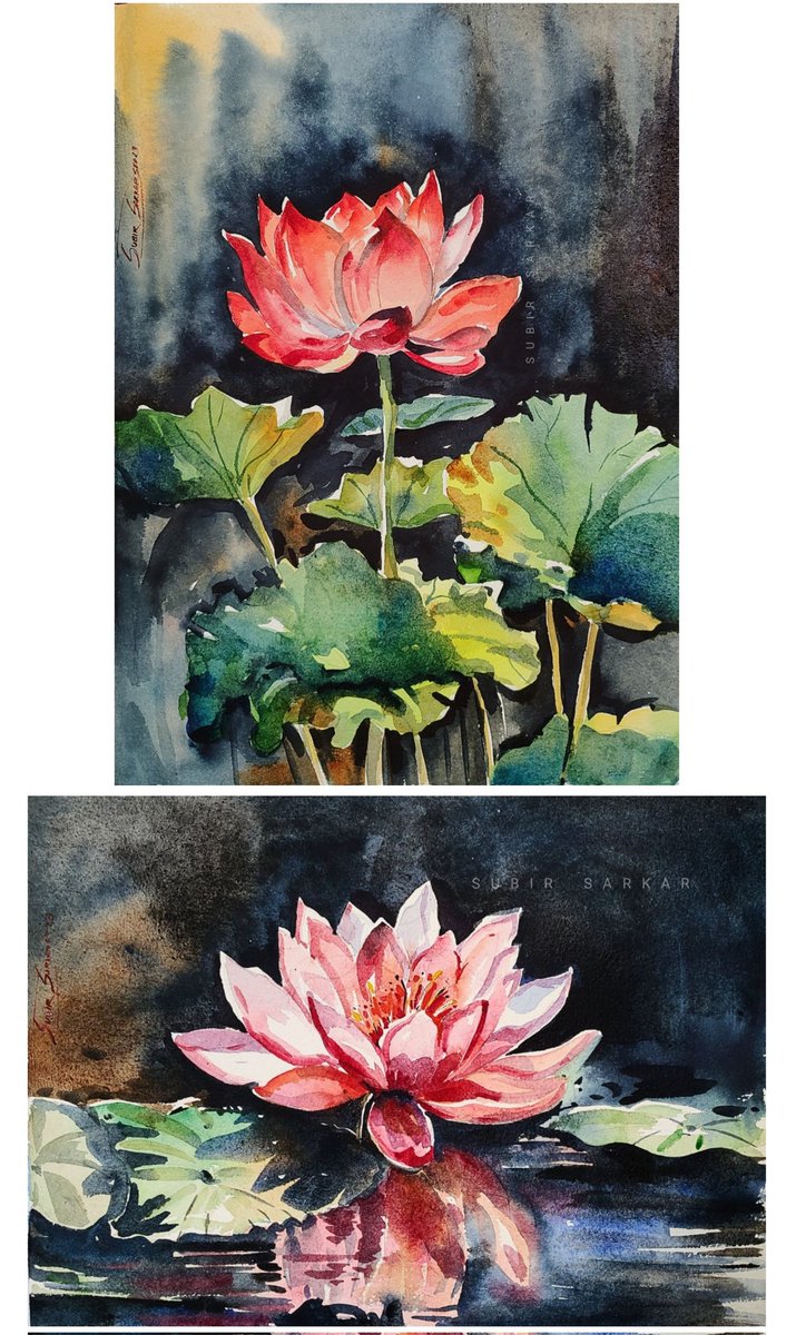 imsubirsarkar's tweet photo. "Queen of Pond" 2023
Watercolor on Chitrapat Paper
Size : 15" × 11"
#lotus #flowers #beauty #vermilion #Queen #pond #watercolor #painting #chitrapat #winsorandnewton https://t.co/YOJh3OGdk1