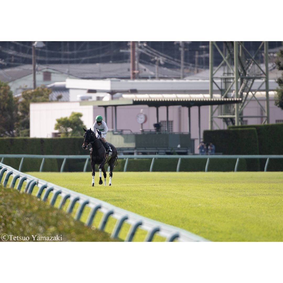 TetsuY39's tweet image. ジュリアバローズ & M.デムーロ騎手
photo:2023.09.30
hanshinRacecourse
#ミルコ・デムーロ
#demuromirco
#ジュリアバローズ
#ノーザンファーム
#猪熊広次
