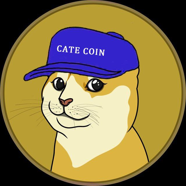 pepeXglobal's tweet photo. @KateMillerGems @verasitytech @spx6900 @BscRetoken @DorkLordToken $CAT
X1000 Opportunity 
3 Major CEXs listed, ready to FLY
4th CEX coming
Caté beats Dogé
Dont Miss
Cate exchange under construction 
@catecoinerc20 $CAT https://t.co/t7PNqB6GI5