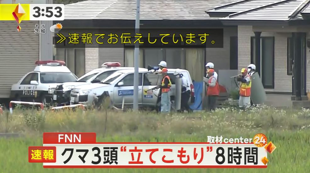 yuruhuwa_kdenpa's tweet photo. これは立てこもってる容疑熊に投降を呼びかける警察官 https://t.co/FLrasCP3WT