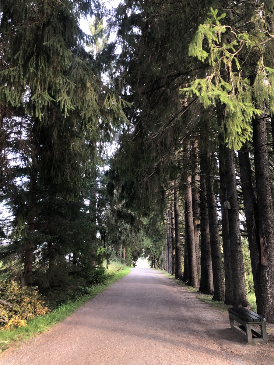 Muisto elokuisesta viikonlopusta Valamossa!
x.com/KoneenSaatio/s…