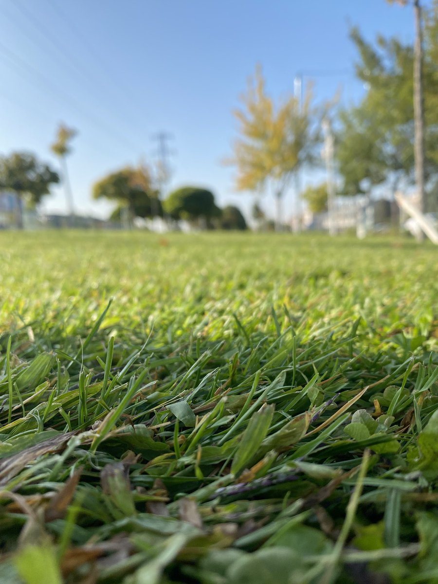 Hepimizin iki hayatı var.
İkincisi, elimizde sadece bir tane olduğunu anladığımızda başlıyor.

#life #huzur #world #müzik 
Tom Hiddleston