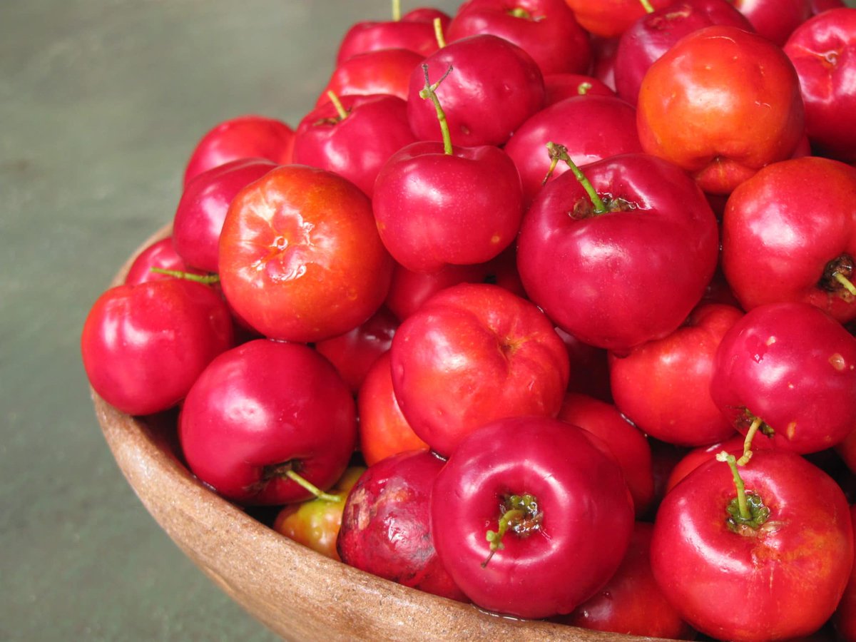 CasaZukati's tweet photo. ¿Semeruco o cerecita?

La acerola es famosa por su excepcional contenido de vitamina C, incluso contiene significativamente más que muchas otras frutas cítricas. Una sola acerola puede proporcionar más del 100% de la cantidad diaria recomendada de vitamina C para un adulto. https://t.co/S1x0gF7gnD