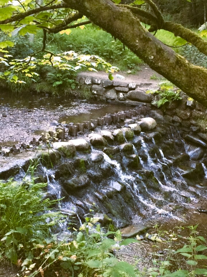 boltonwalking's tweet photo. The seasonal change is well underway and tonight's walk promises to deliver some massive autumnal vibes. If you'd like to join us, please do message this profile for more details. #hikingadventures #hiking #guidedwalks #walking #bolton #BarrowBridge #autumnvibes #Autumn https://t.co/CZsBadE3YO