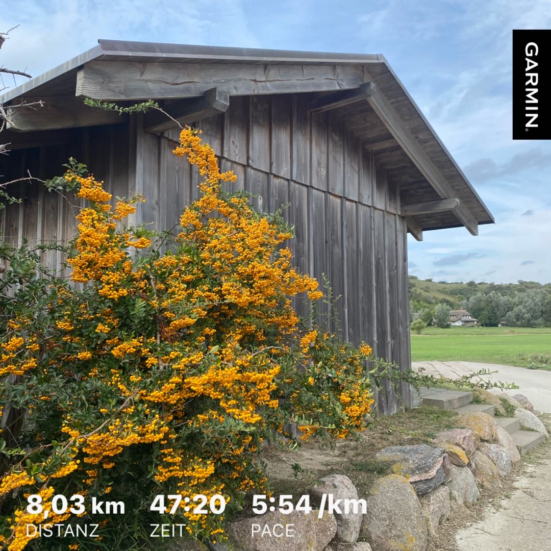 Laufen zwischen Bodden und Ostsee 😍🫶 bedeutet auch, keinem zu begegnen. Einfach der Wald, ich und laufen.

#nevernotrunning