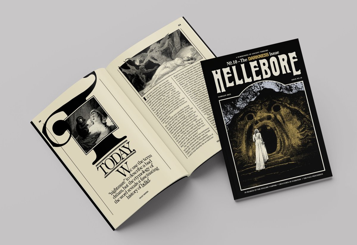 It's here! Vampires, alchemists, nightmares, moonlit churchyards, caverns and catacombs, strange creatures, sinister processions.   

Pre-orders for The Darkness Issue are now open:
helleborezine.bigcartel.com/product/helleb…
