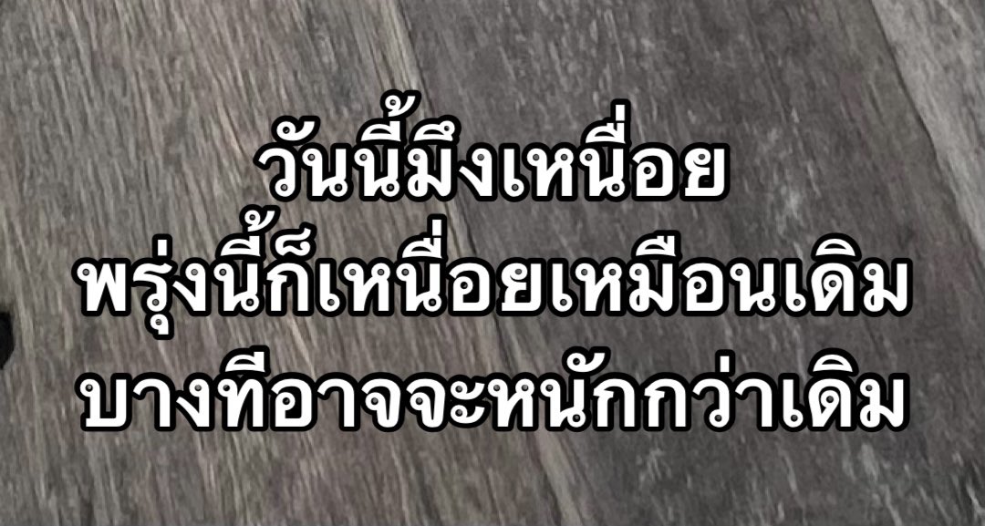 คนอยากเขียน. tweet media