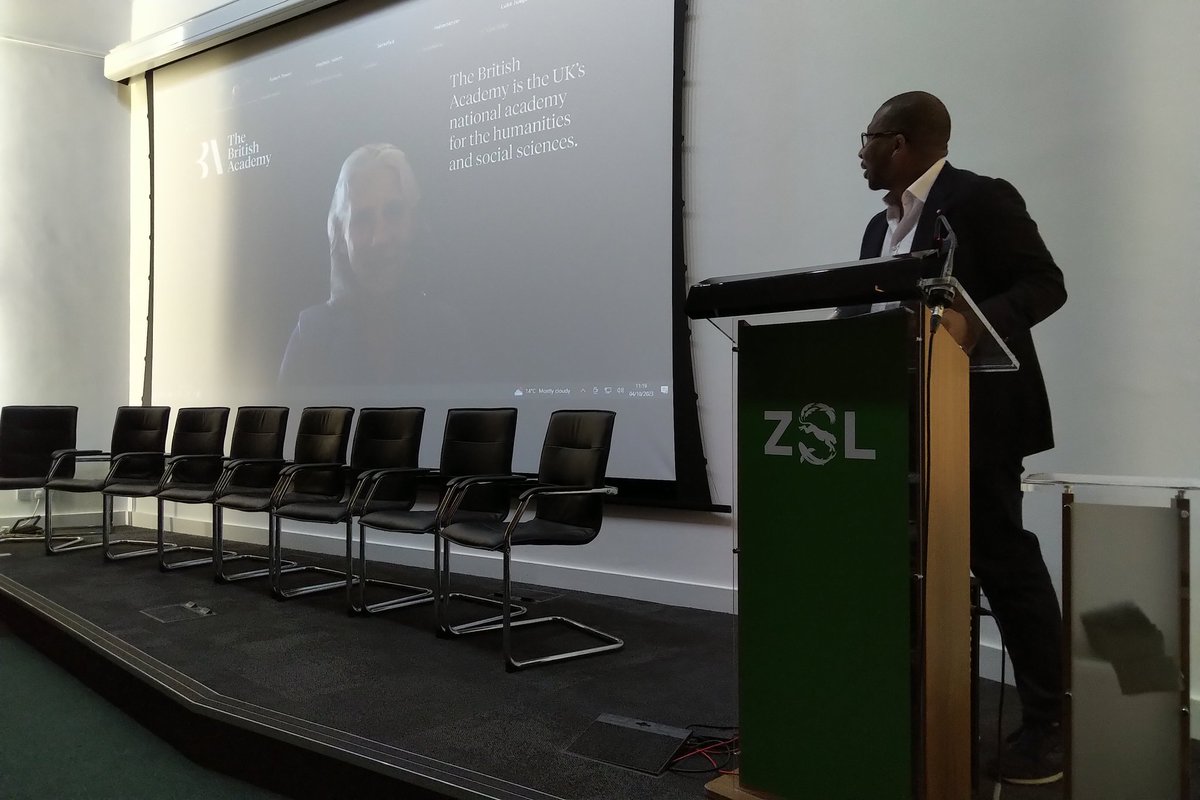 Rasha Saïd ✨ tweet media