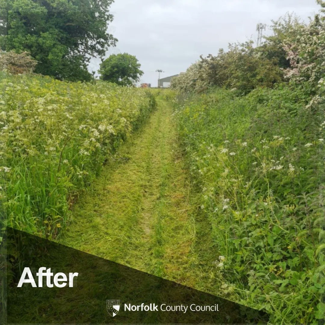 We are inviting countryside management contractors to express their interest for the Countryside Access Vegetation Management Framework 2024. Send an email to PROW@norfolk.gov.uk with your business name and contact details. We’ll add you to the register!