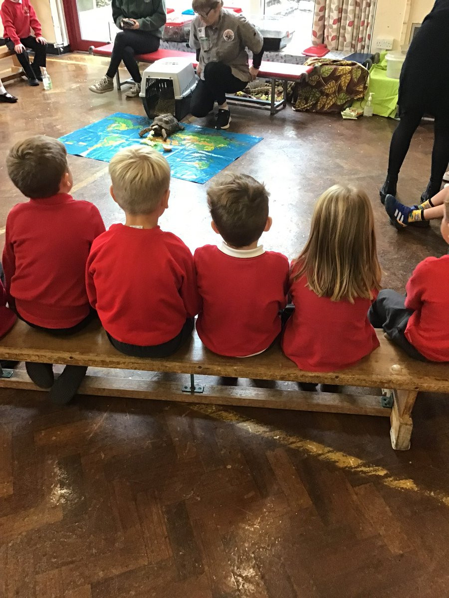 MissSchlesinger's tweet image. Year 1 were visited by Sam's Safari today! The children were so excited to hold all of the animals!
@MissCollierWPS @mrstraffordwps @MrSmithWPS
#yearone #sciencelearning #curriculum #enrichment