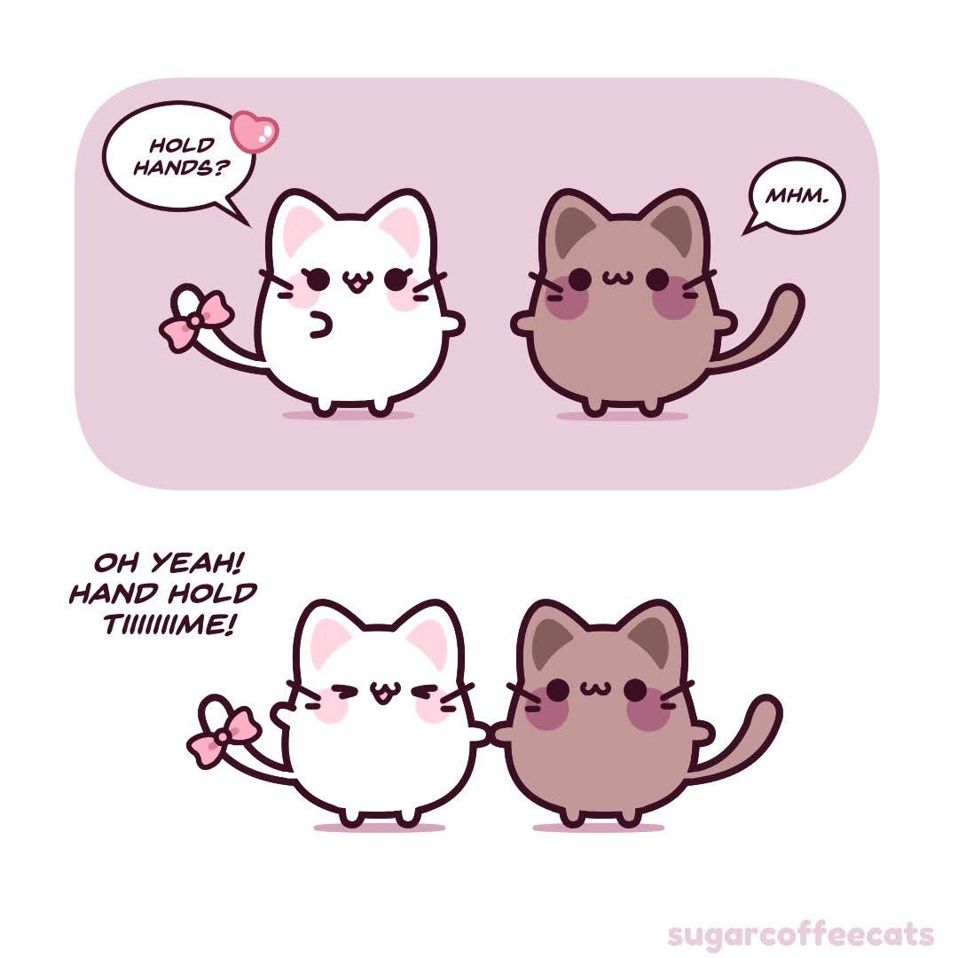 sugarcoffeecats's tweet photo. https://t.co/iGIgyK4TOT