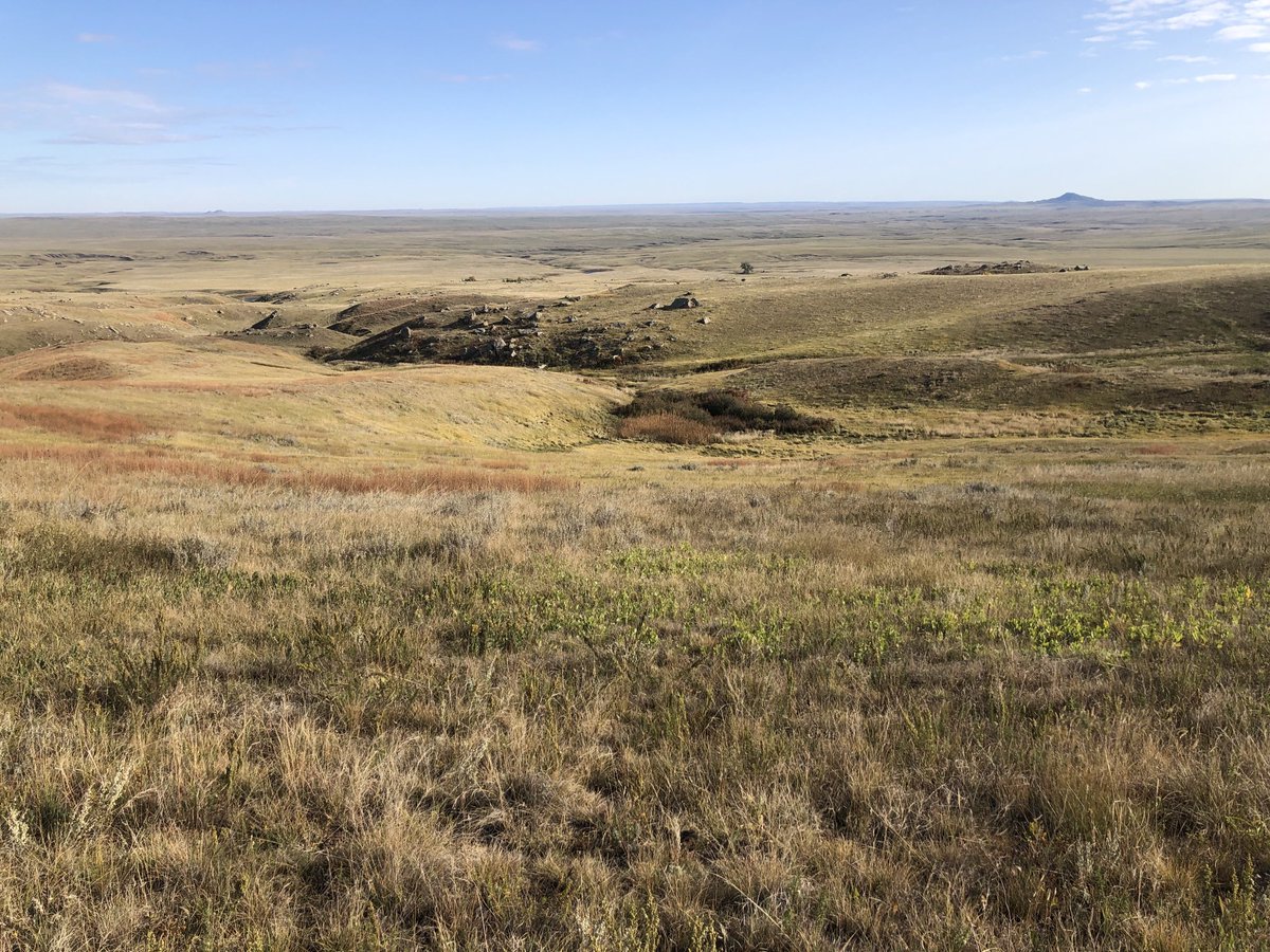 More than half of the #grasslands in the northern Great Plains have been transformed to agriculture, so it’s great to visit places like this in South Dakota.