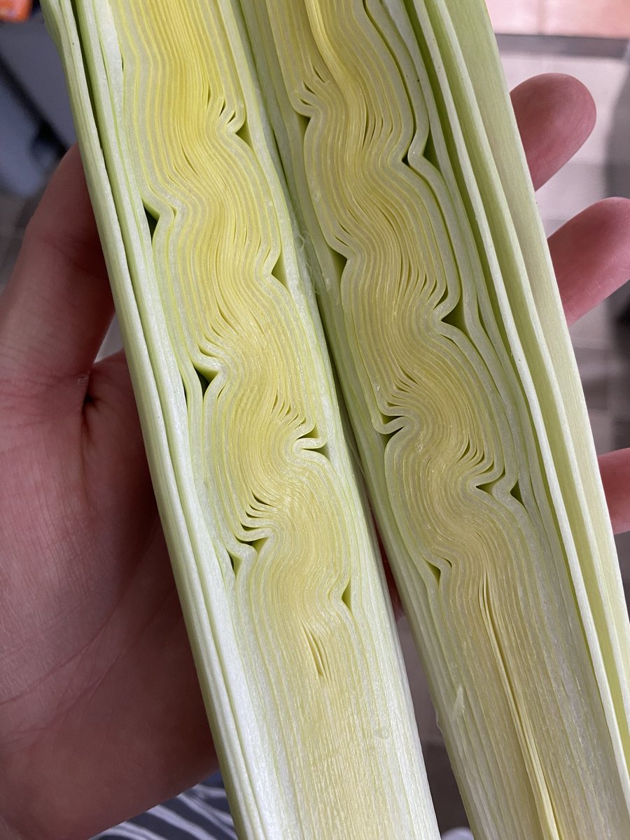 mesmerised by the inside of this leek i cut open earlier