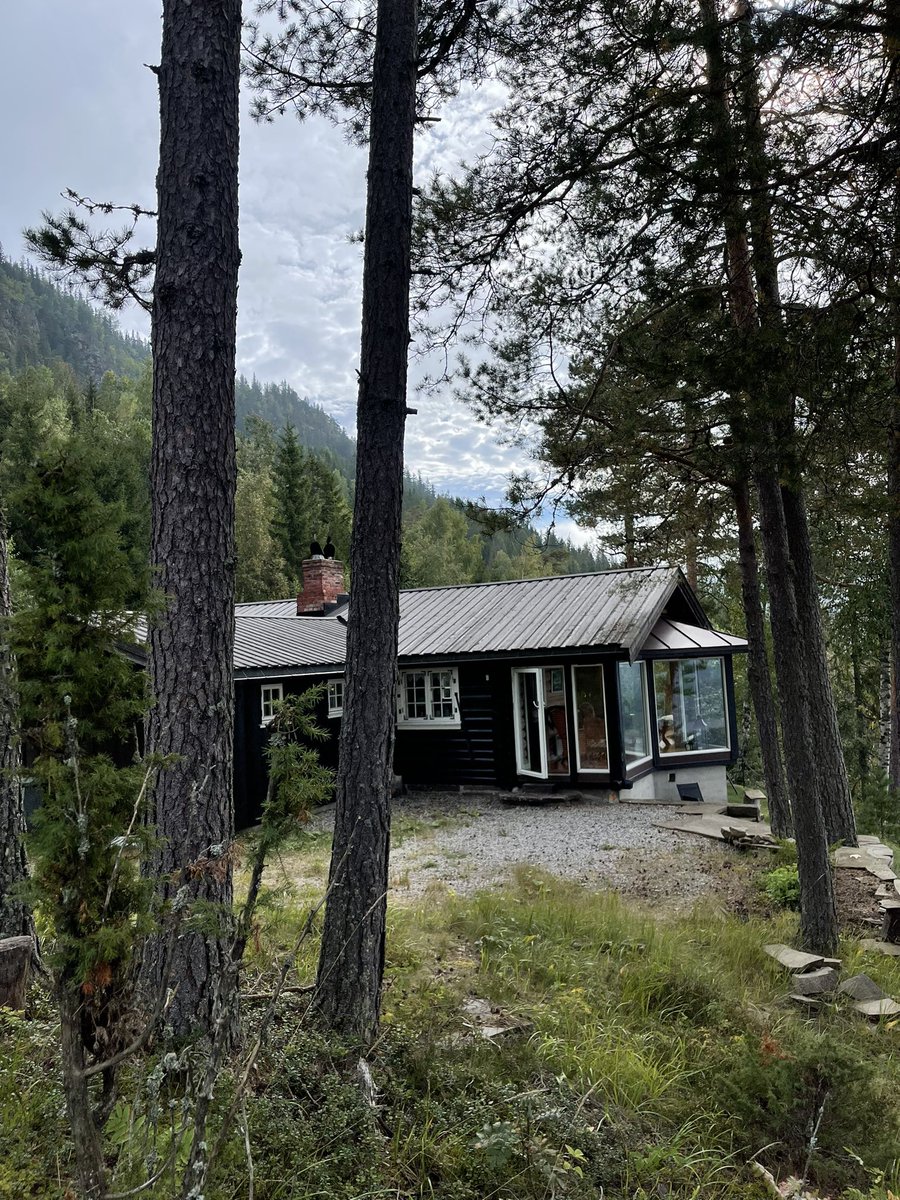 Jake Millers tweet media