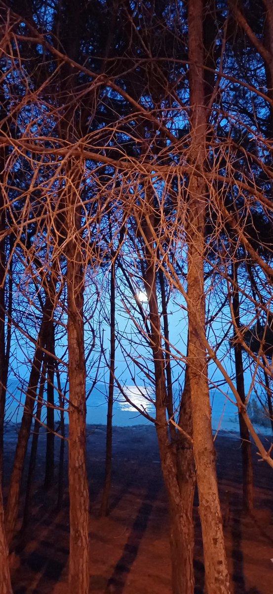 Scende la sera e la luna dipinge d'argento la strada dei nostri sogni donandoci tanta serenità. 

#4ottobre 
#VentagliDiParole