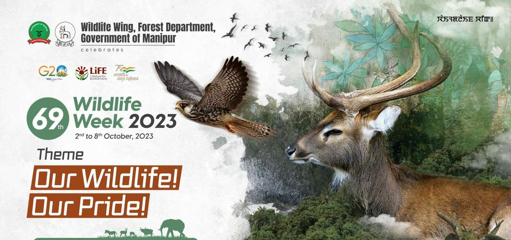 kpiforest's tweet photo. 69th Wildlife Week.Theme:Our wildlife our pride! @wii_india @moefcc #wildlife #WildlifeWeek2023 https://t.co/4WmZMk8C5P