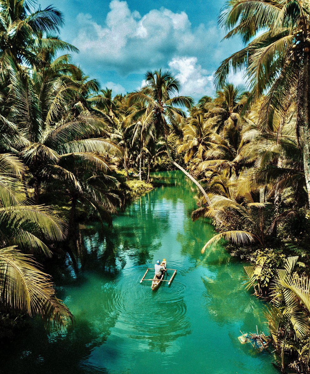 vacaytube's tweet photo. 📍 Siargao island, Philippines 🇵🇭 

Did you know?

Check the ALT 👇 https://t.co/Xo0rgLE5On