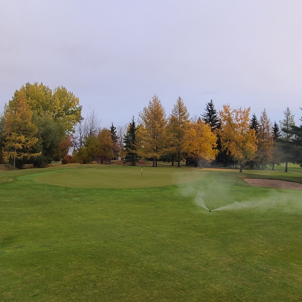 OGCTurfCare's tweet photo. Well Day 1 of blowout...earlier than ever before but compressors are harder to find every year and I had my usual company cancel 2 months out...#scrambling https://t.co/pQUV4LkoOD
