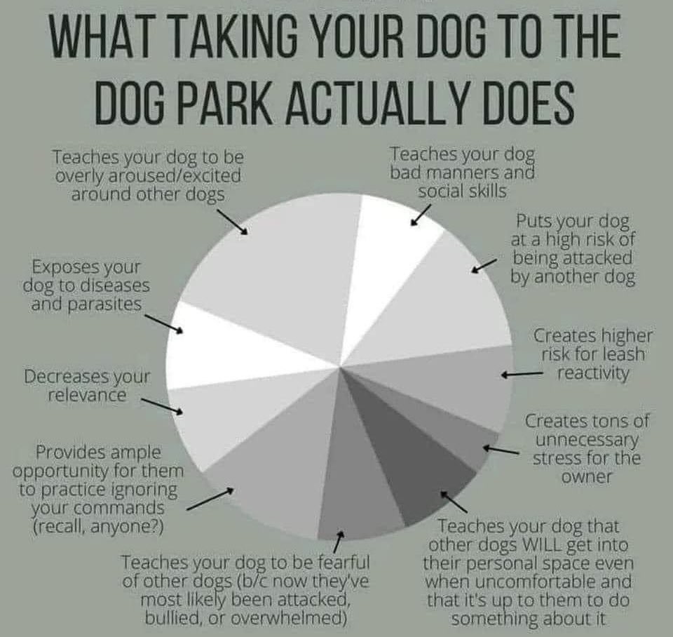 DeeDogPark's tweet photo. Not when it’s a private dog park with rules!! All of this is irrelevant. 

However, this is EXACTLY what happens in public dog parks to the majority of dogs. 

Same with dog daycares. I owned and operated one for over a decade. https://t.co/qfYSqupEmI