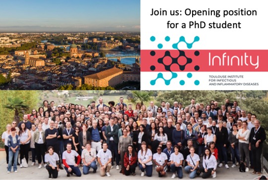 PierreGLutz's tweet photo. Come to work with us! Opening position for a PhD student to contribute to a joint project between our lab @PierreGLutz @ILamsoul @InfinityTLS and a company aimed at modulating immune cell responses for therapeutic purposes.
Join us in this journey.
https://t.co/H8BAdXmDbk https://t.co/upqP0cyGQ7