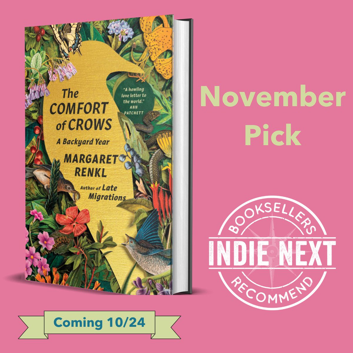 We are so excited to announce that @MargaretRenkl's The Comfort of Crows is a November Indie Next Pick! Pre-order this “triumph of a book” (Aimee Nezhukumatathil) from your local indie today!