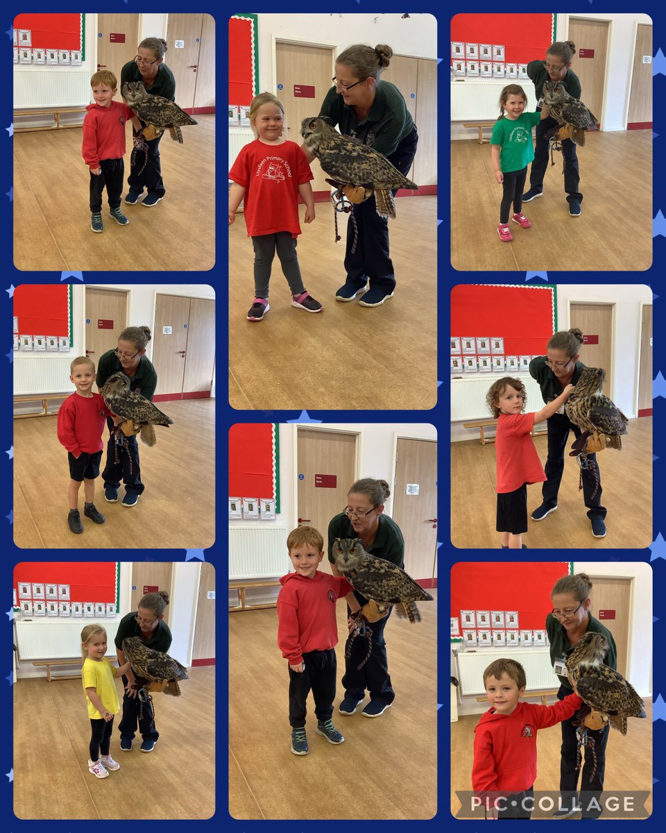 llysfaen2030's tweet photo. We went looking for mother owl around our school. Look who we found hiding in the hall 🦉 #LLC #OwlBabies #Irresistablelearning #RHG https://t.co/Bnes5WREmq
