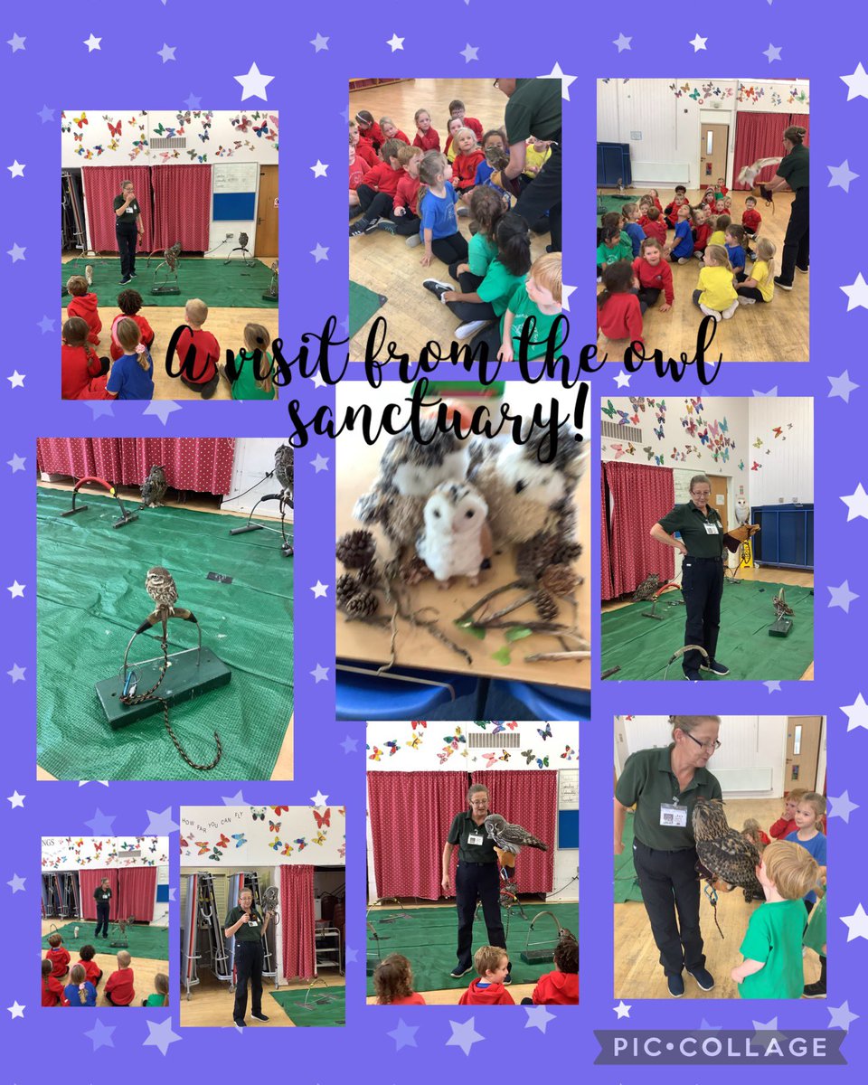 llysfaen2030's tweet photo. We went looking for mother owl around our school. Look who we found hiding in the hall 🦉 #LLC #OwlBabies #Irresistablelearning #RHG https://t.co/Bnes5WREmq