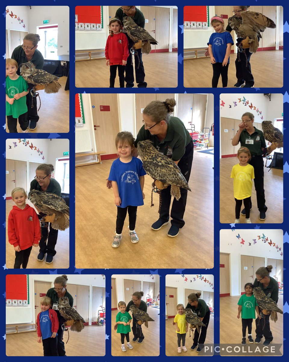 llysfaen2030's tweet photo. We went looking for mother owl around our school. Look who we found hiding in the hall 🦉 #LLC #OwlBabies #Irresistablelearning #RHG https://t.co/Bnes5WREmq