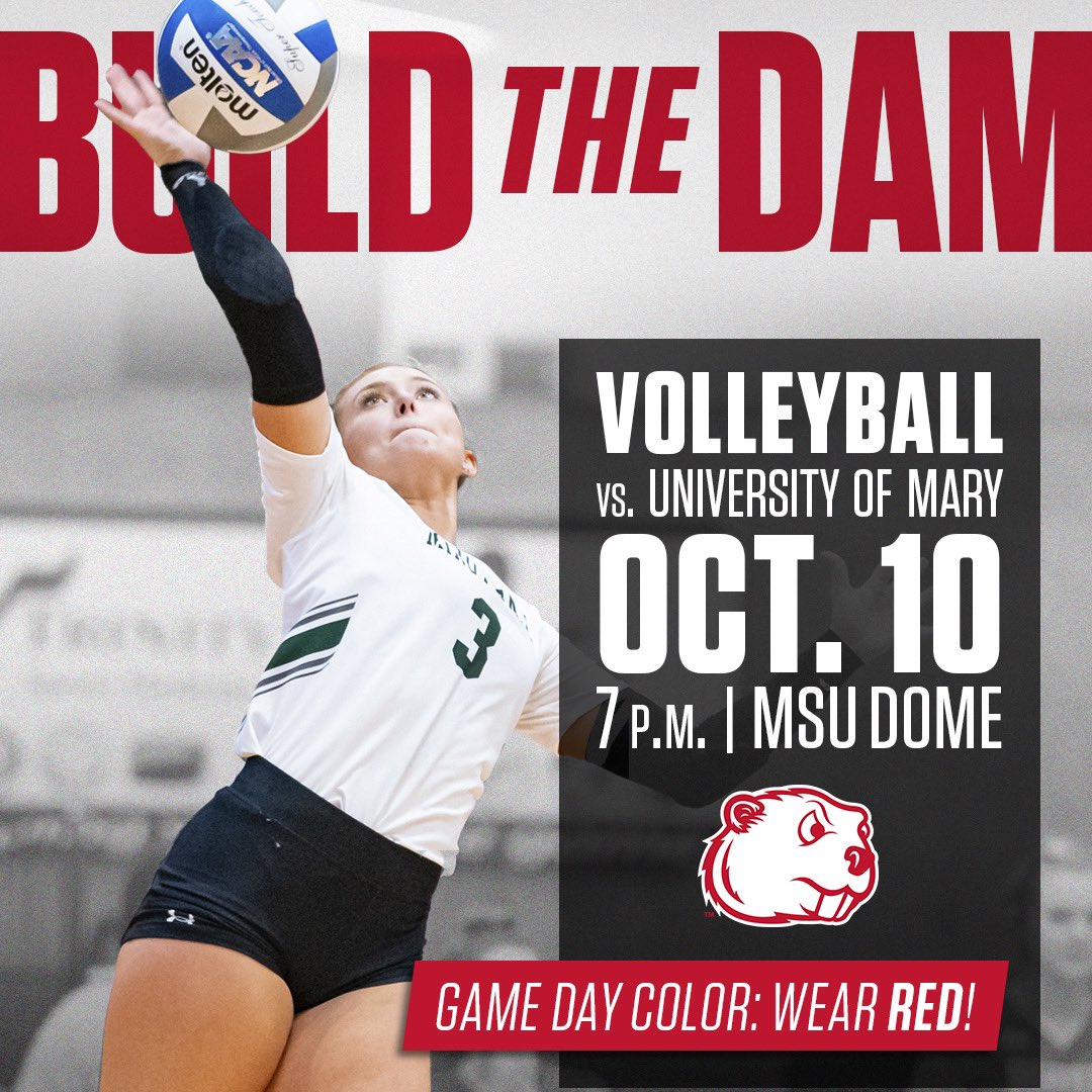 Minot State Volleyball tweet media