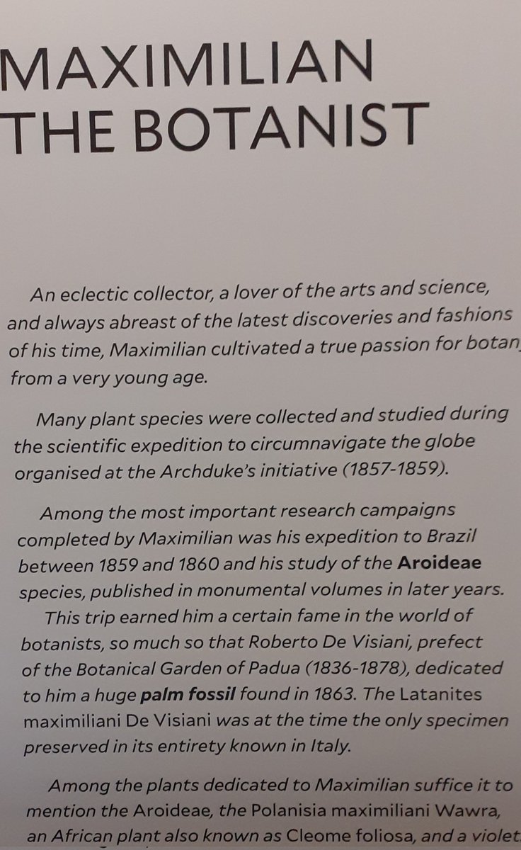 tosullivan06's tweet photo. @NualaCj There's a wonderful botanical library at the castle, and exquisite gardens! https://t.co/an7kwk4tYx