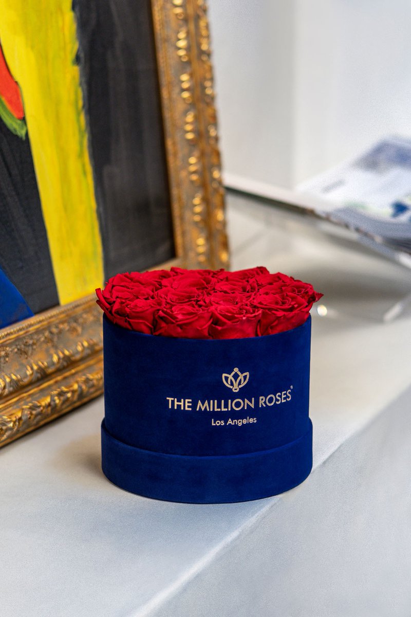 themillionroses's tweet photo. #TheMillionRoses https://t.co/2f1Xodmsxh