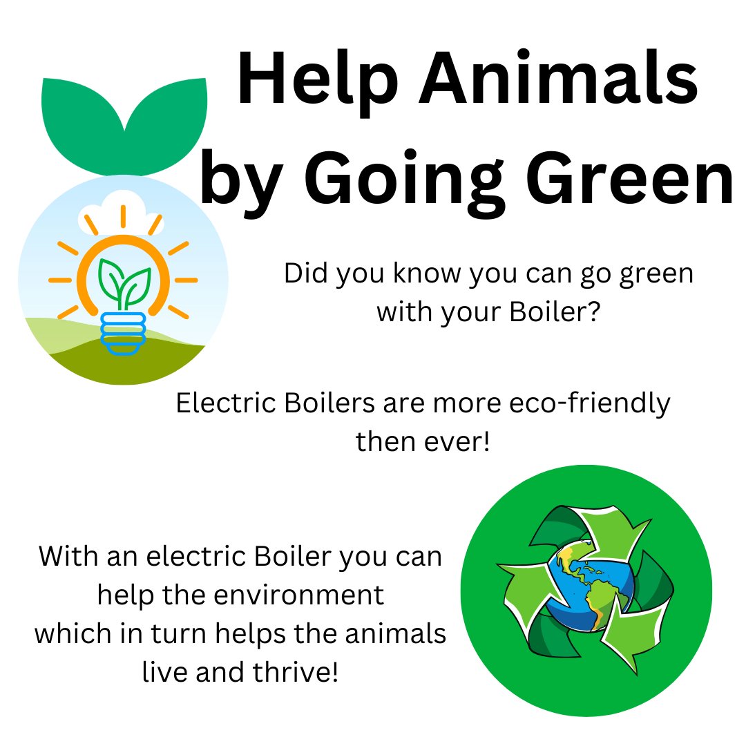 You can help the wildlife around you with recycling, using non-toxic cleaning supplies, and clean energy. Clean Energy can be used to run an electric boiler. Help the planet and make the change to an electric boiler! #RenewableEnergy #ElectricBoiler #GoingGreen #WorldAnimalDay