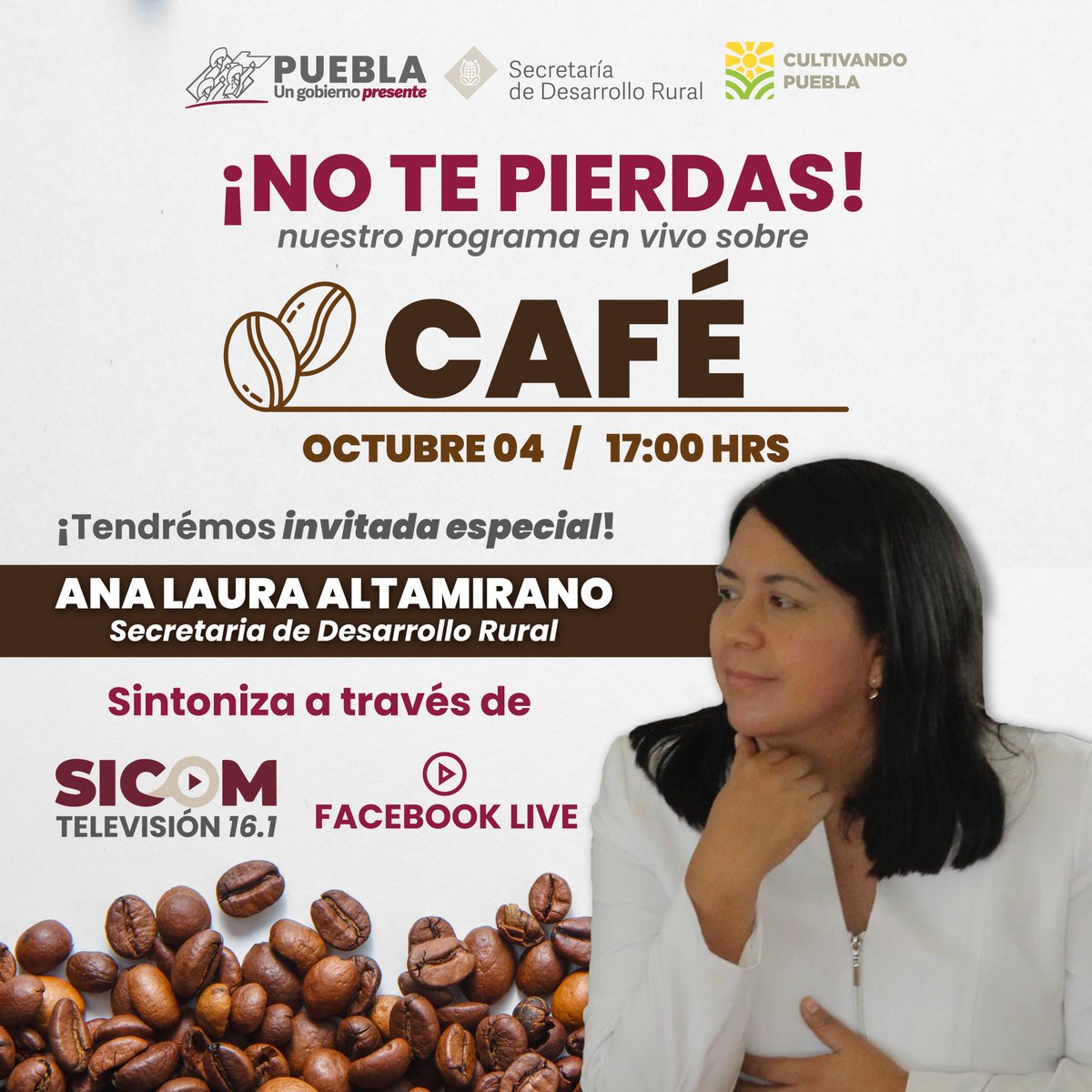 SDRGobPue's tweet photo. Sintoniza el 16.1 de 📺 televisión abierta de 5-6 pm.
No te pierdas este programa especial de "Cultivando Puebla" 🌾 el programa donde el campo cobra vida.

El tema de hoy es "la estrategias de impulso de la cadena café para la producción y comercialización del aromático". ☕ https://t.co/ttHS0DcDR3
