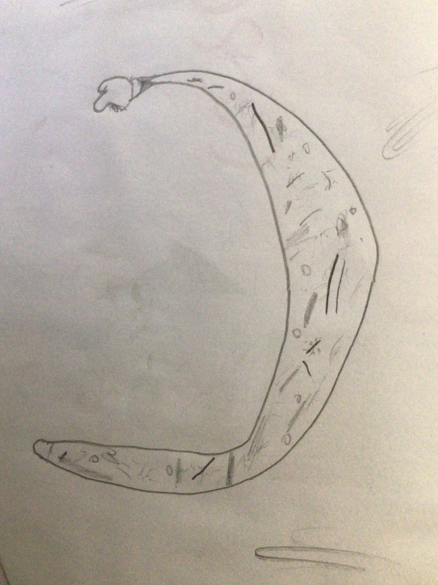 Year1_GV's tweet photo. What a lovely afternoon we had completing some continuous line drawings of familiar objects. We then experimented with different marks to show textures on our drawings.
What super artists we have in Year 1! 🎨🖌️✏️
#year1 #wehavethePOWER #eliinaction #artanddesign https://t.co/kzvT2TYRLi