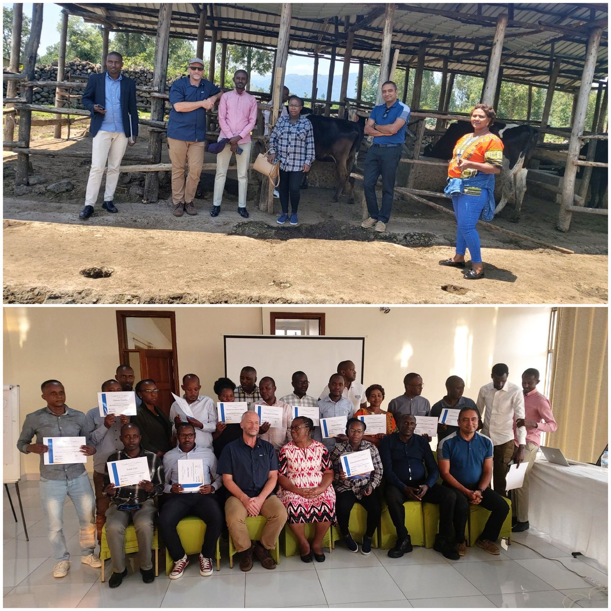 RAB in collaboration with University of Florida/USA, completed a 2 day training of Inyange livestock extensionists, and SAROs from Kayonza, Nyagatare and Gatsibo on Zirakamwa app as the Rwanda Dairy Farm Assessment and Advisory Tool to increase dairy production. Funded by RDDP.