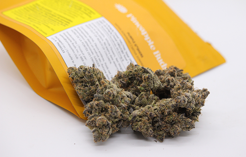 Purple G*shers by <a href="/BudsPineapple/">Pineapple Buds</a> 
theounce.ca/reviews/purple… 

#cannabisreview #cannabismicro #bcbud