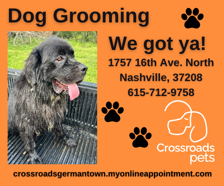 Schedule an appointment today with our professional groomers.  Your pup will be clean and sweet-smelling, and you'll support Crossroads Pets, a nonprofit.
…adsgermantown.myonlineappointment.com

#dirtydog #muddydog #dogsofnashville #happy #clean #fresh #petgrooming #love #pethealth