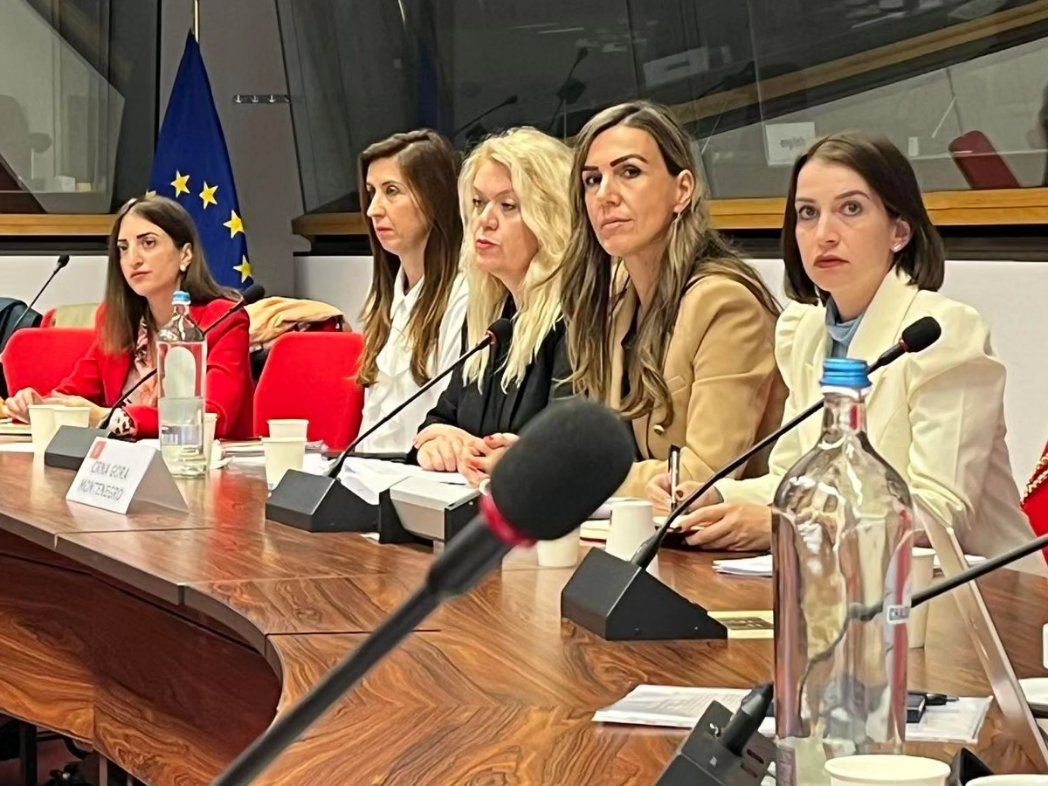 Na sastanku, kome su kopredsjedavali Majkl Miler, šef Jedinice za 🇲🇪 i 🇷🇸 u @eu_near i Jovana Krunić, v.d. generalne direktorice u <a href="/MERTCrneGore/">Ministarstvo ekonomskog razvoja</a>, predstavljeni su rezultati postignuti u ovoj oblasti od prethodnog sastanka koji je održan u oktobru prošle godine.