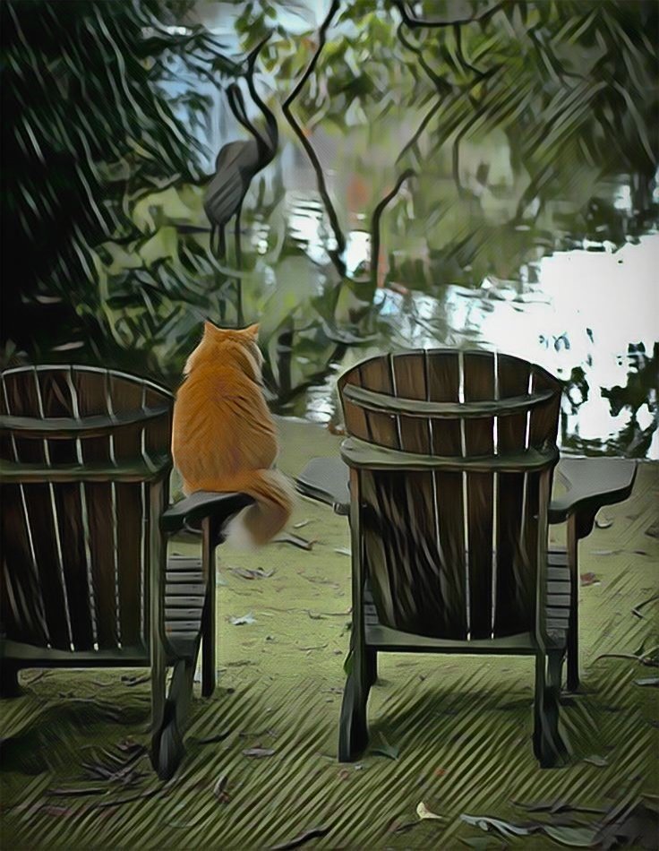 ColinCoggy's tweet photo. Akşamın huzurunu evde hissetmek, yorgunluğu bir kenara bırakıp kahve eşliğinde dinlenmek, işte tam da bugünün ihtiyacı olan şey. 🌙☕️ #EvdeKeyif #DinlenmeZamanı #iyiakşamlar https://t.co/VRnPpiUWi0