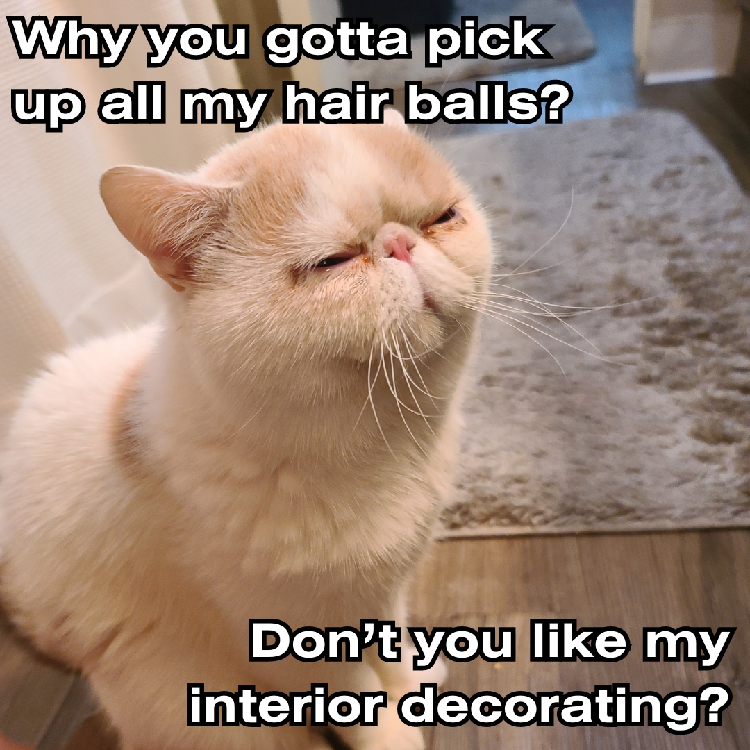 KonaCleaners's tweet image. When life gives you hair balls, contact Kona Cleaners. From pet messes to sauce stains, we take care of your garments. #KonaCleaners #DryCleaning #DryCleaner #PetMess #PetLover #KittyProbs