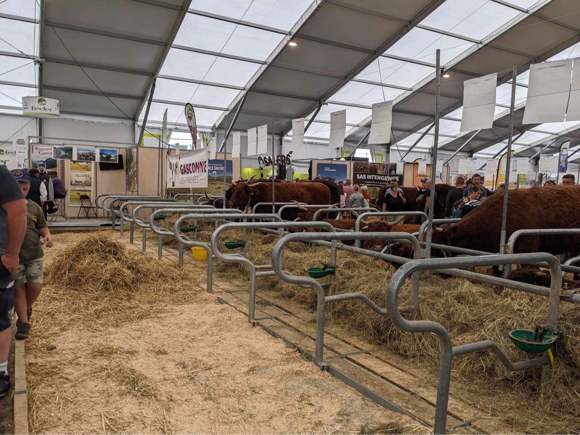 Cultivar élevage tweet media