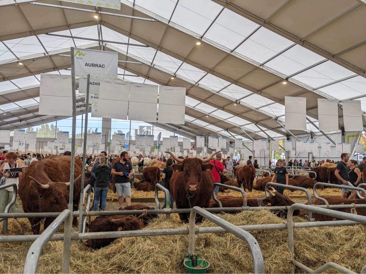 Cultivar élevage tweet media