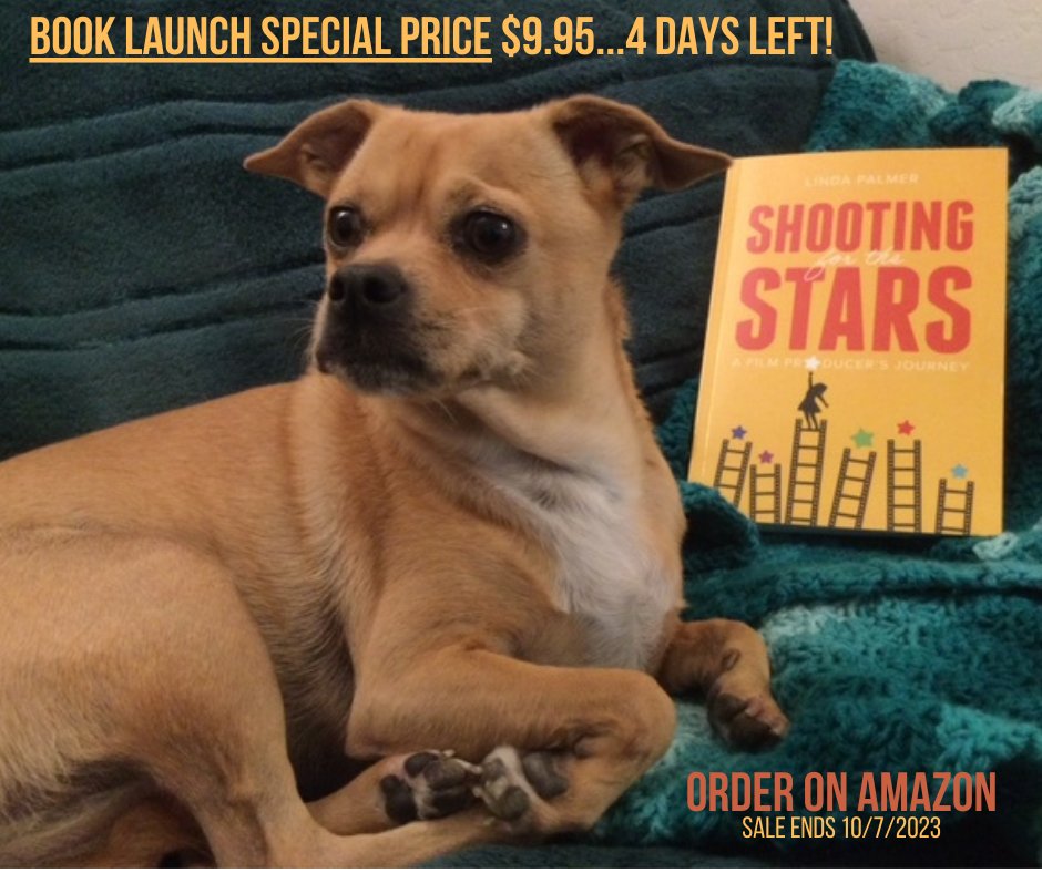 In the dog eat dog world of filmmaking we could all use a leg up to give us the edge! Many readers are saying that if you check out the reviews on Amazon! Read them here.
amazon.com/Shooting-Stars…
#ShootingfortheStars #filmproducer #countdown
photo credit: Wendy J. Menara