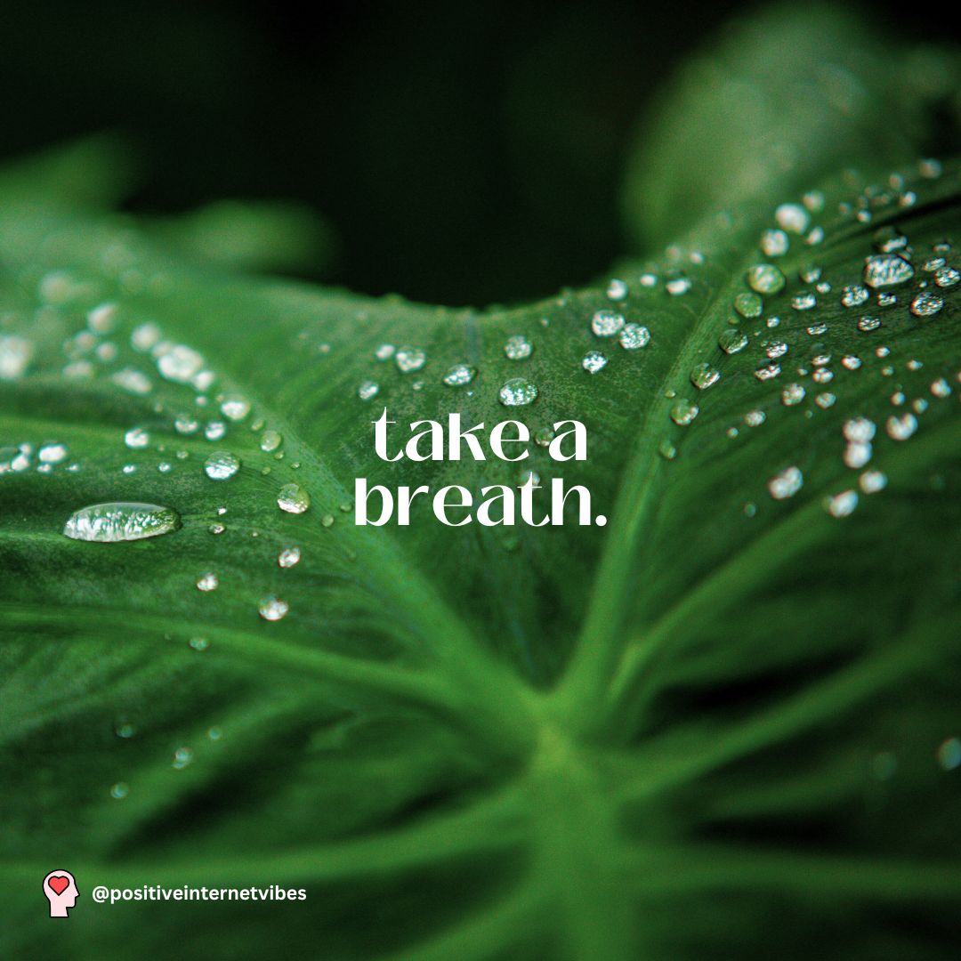 vibes_internet's tweet photo. Take a breath. 🌲

#gratitude #enjoylife #positivity #positivevibes #positiveinternetvibes #positive  #relax #happiness #breathe https://t.co/tyH2h3yBxC