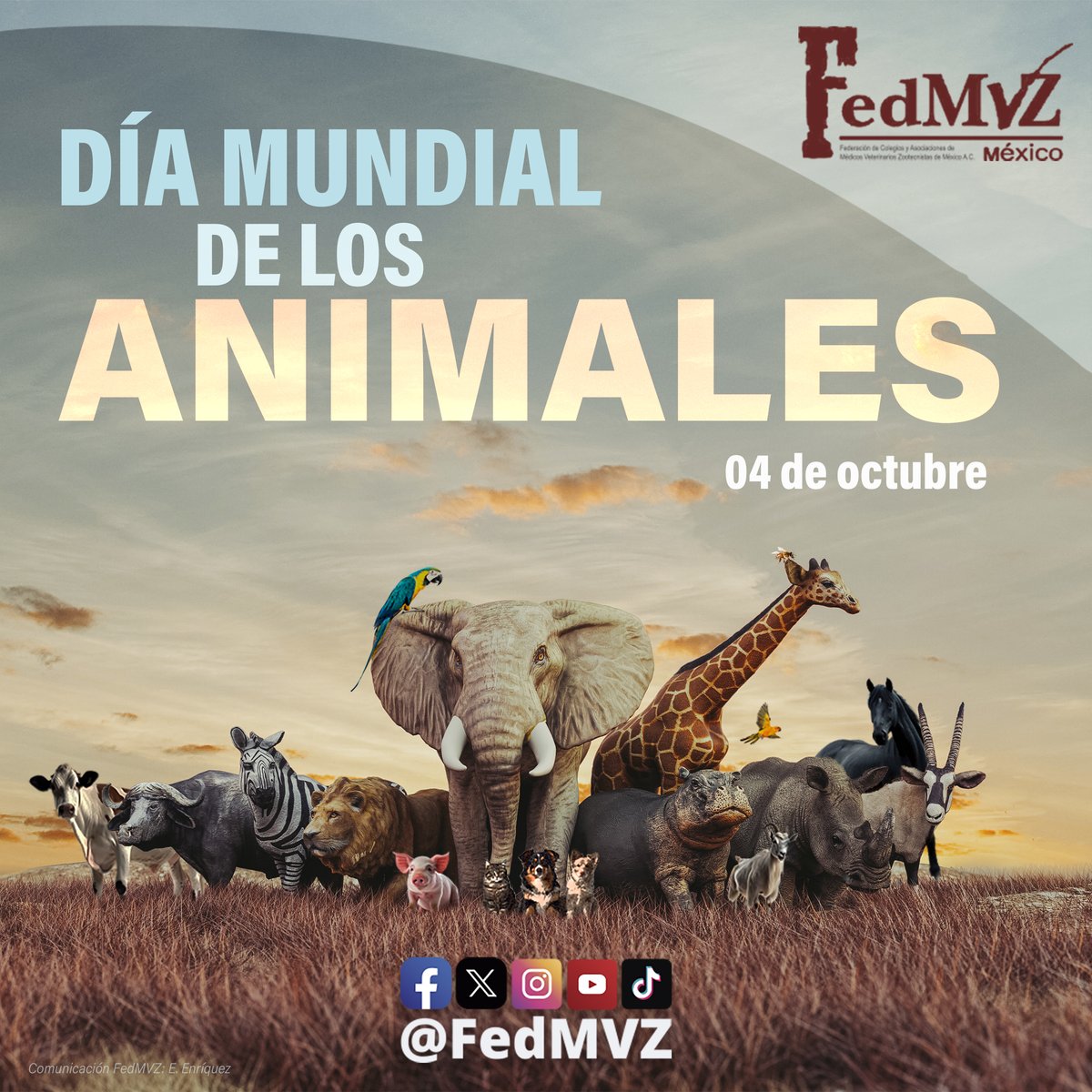#SabíasQue el 4 de octubre se conmemora el #DíaMundialDeLosAnimales con el objetivo de crear conciencia sobre la conservación y el cuidado de estos seres sintientes. Hacemos un reconocimiento a las y los Médicos Veterinarios Zootecnistas por velar por su salud y bienestar. Juntos