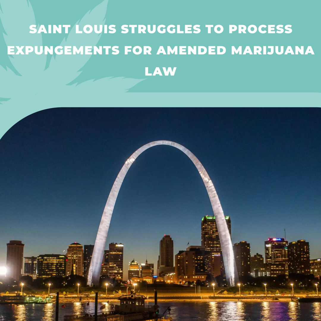 TeamReepher's tweet image. Automatic expungement of cannabis-related criminal convictions has been taking place in St. Louis since the approval of Amendment 3, a legalization measure for adult cannabis use, in November.

bit.ly/48C0PXh